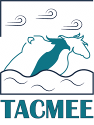 tacmee